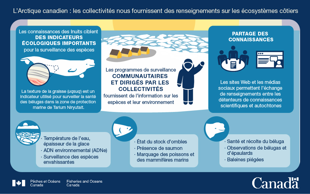 Infographie&nbsp;: Les collectivités nous fournissent des renseignements sur les écosystèmes côtiers
